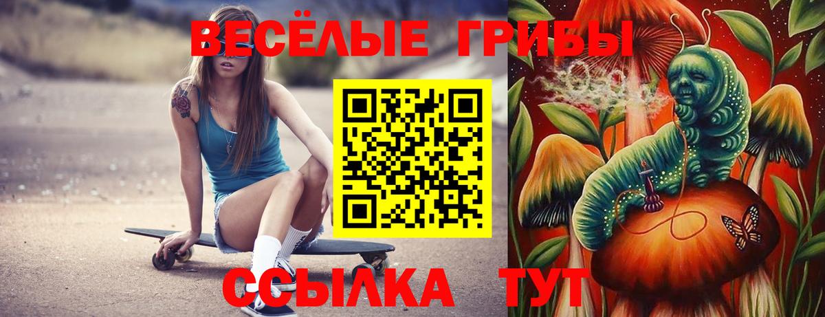 Галлюциногенные грибы Psilocybine cubensis  Вход с VPN  Гудермес 